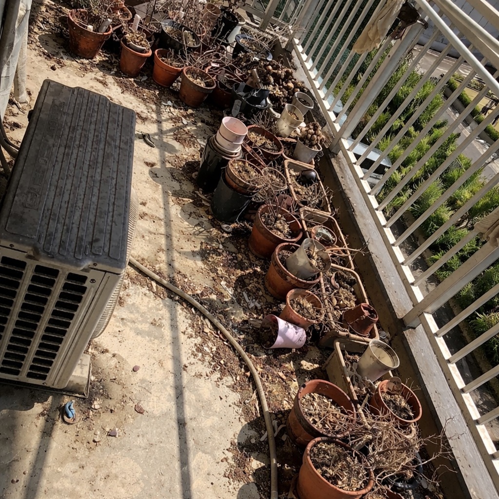 お部屋の片付け前